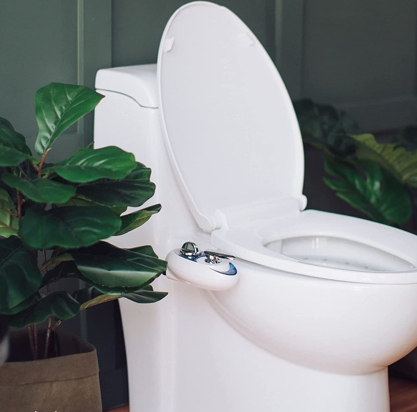 toilet with bidet surrounded by plants