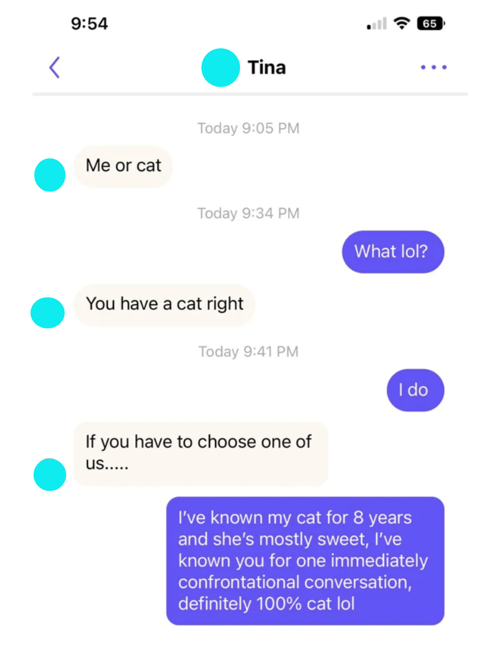 person saying they&#x27;ve known their cat for 8 years, so they&#x27;ll pick it over a stranger