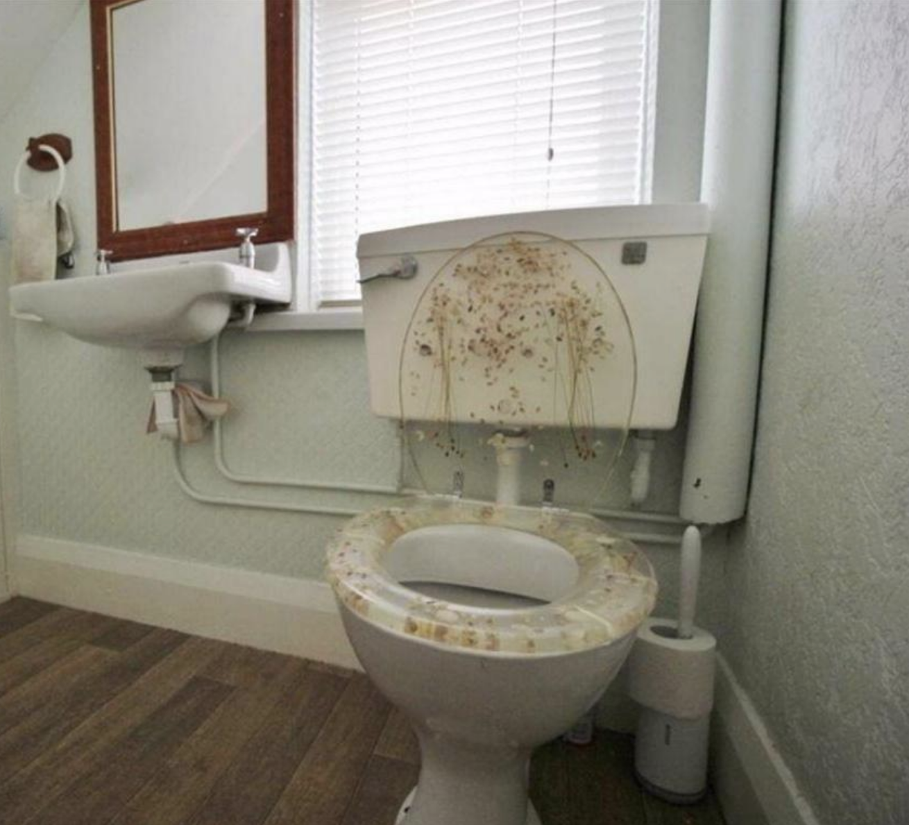 A see-through toilet seat
