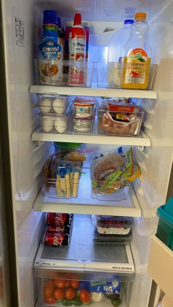 A reviewer's fridge organized with plastic organizers
