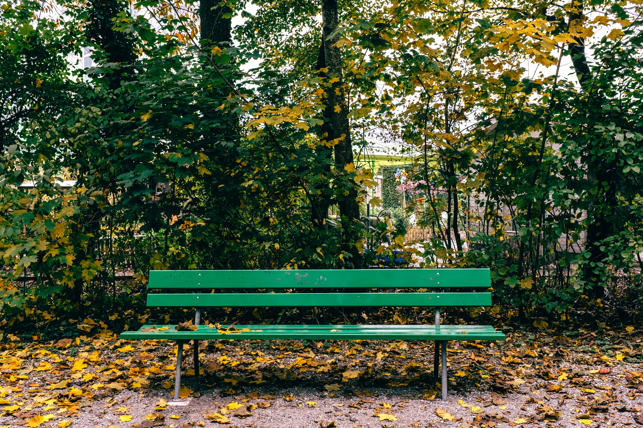 An empty bench surrounded by trees and fallen leaves