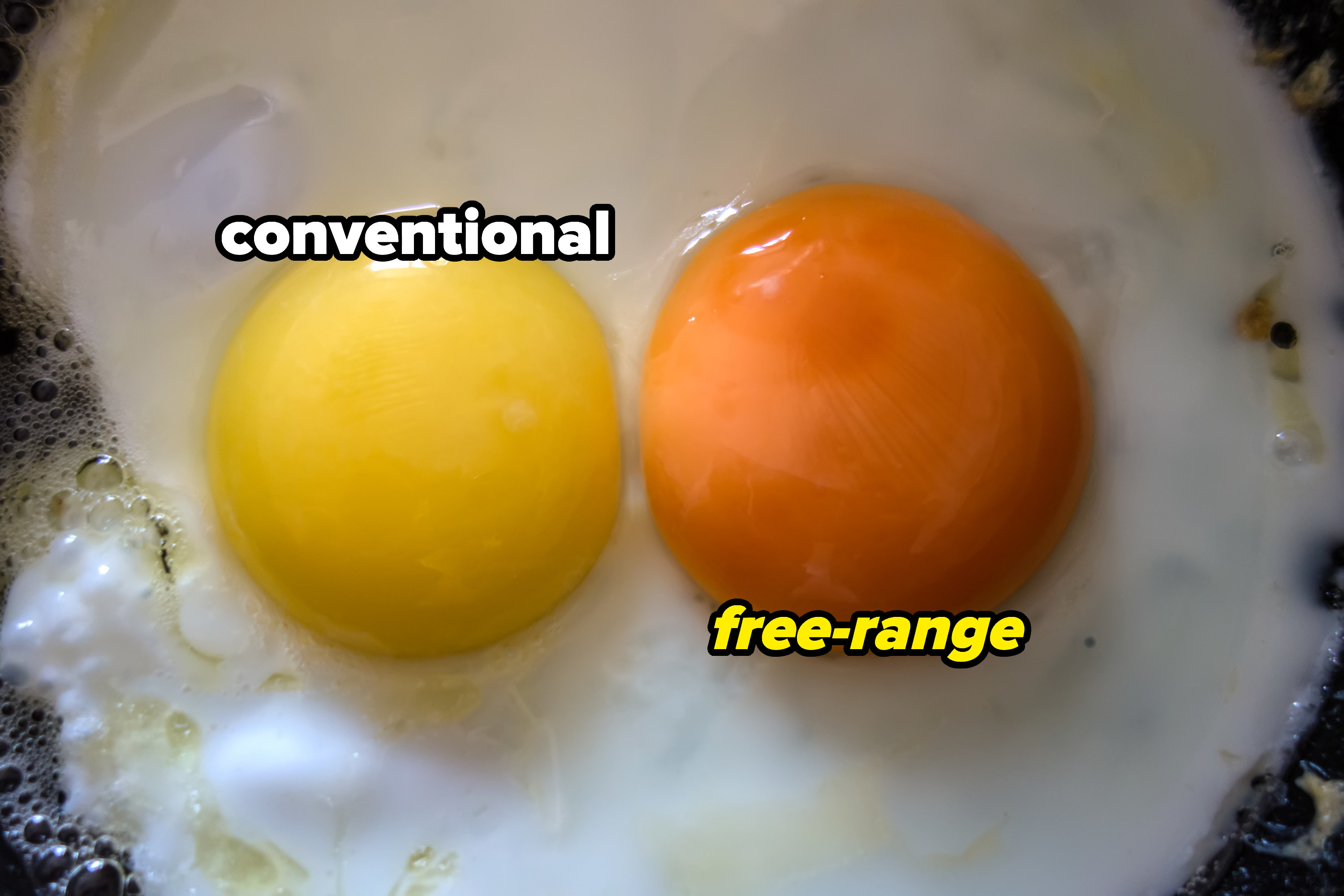 conventional egg yolk vs a free-range one that&#x27;s much more orange