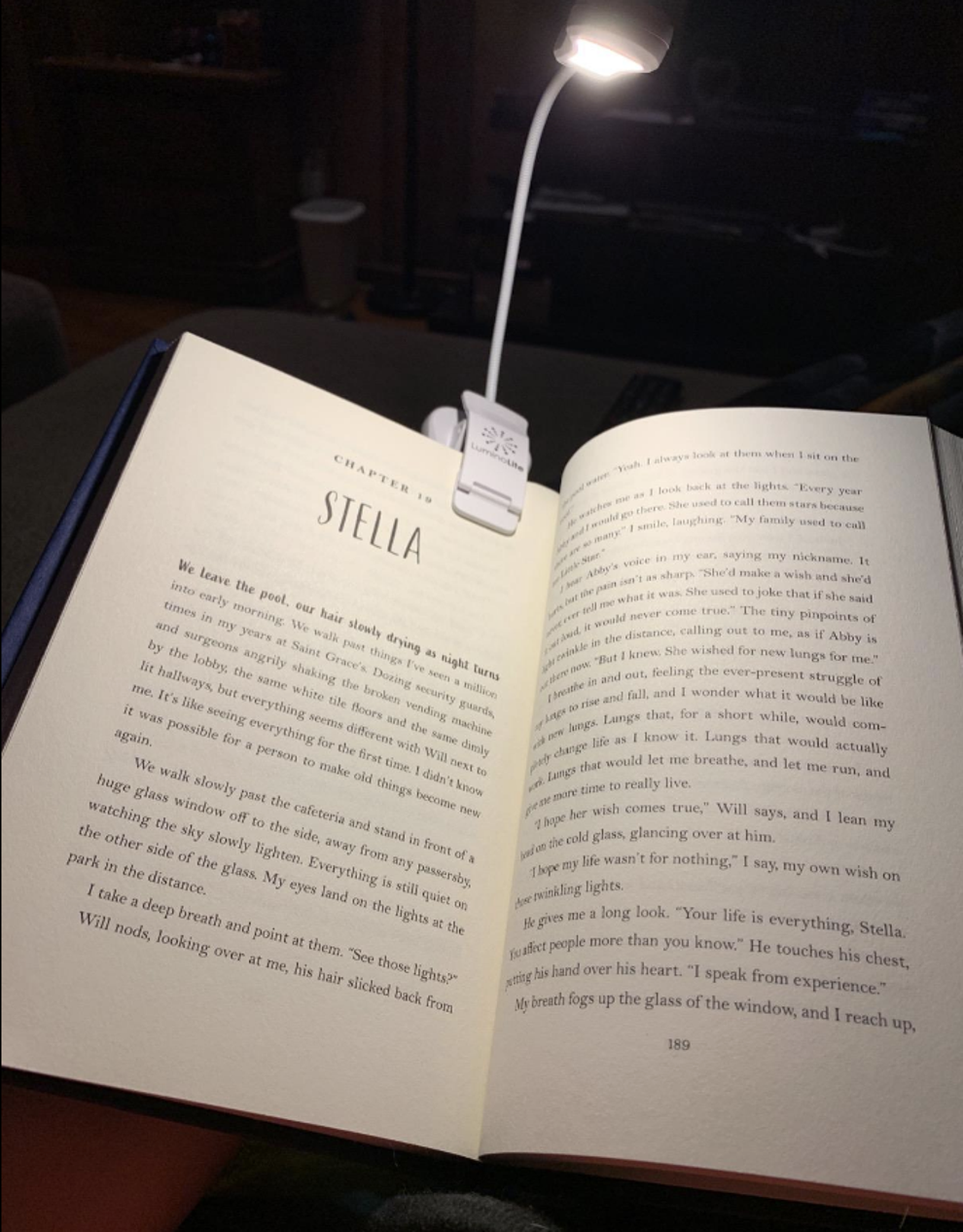 10 Relaxing Bookish Activities for Readers (At Home)