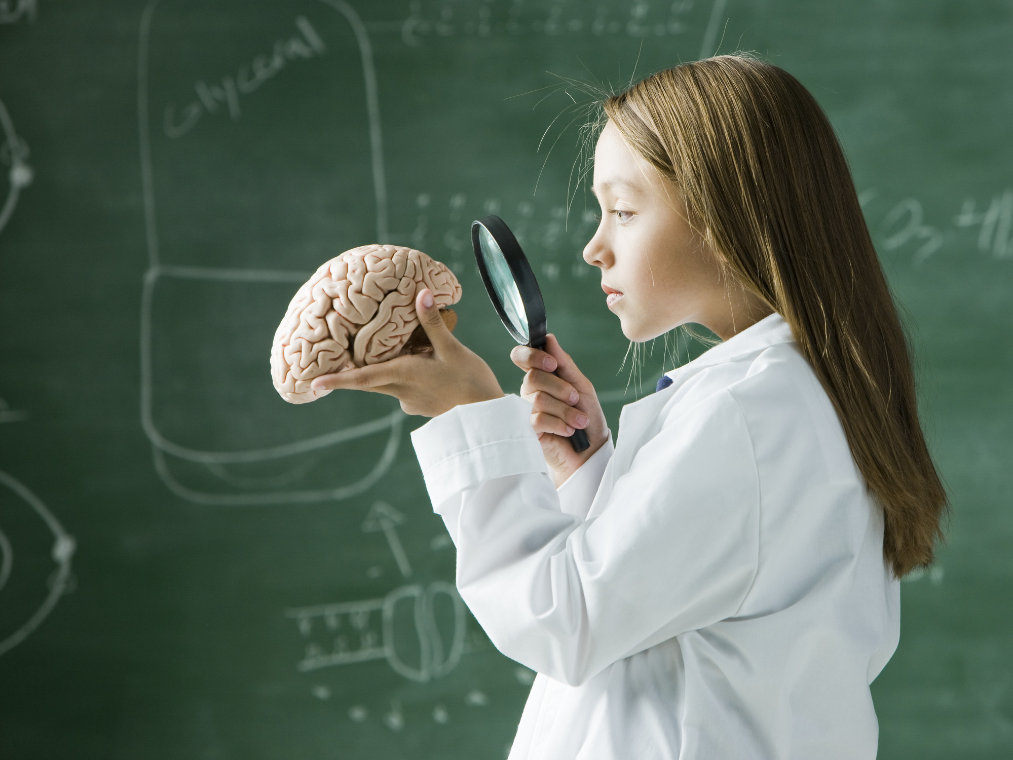A little girl holding a brain and looking at it with a magnifying glass