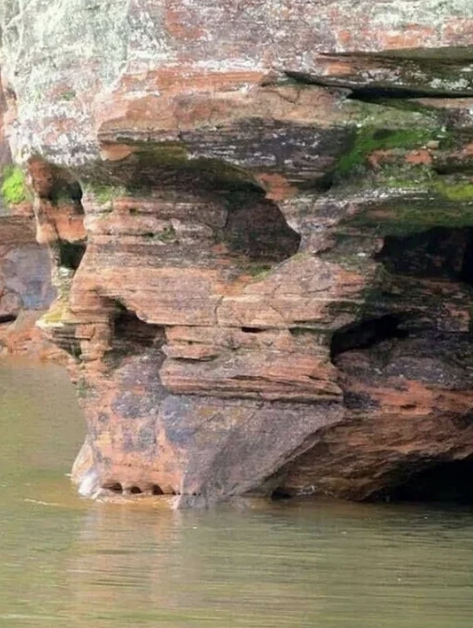 A rock that's shaped like a skull