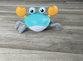 reviewer's photo of the crab