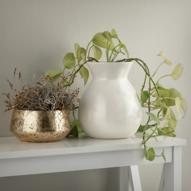 The vase on a shelf with a plant inside next to another potted plant