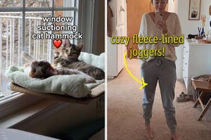 Reviewer's cats relaxing in a window suctioned cat hammock and reviewer wearing cozy fleece-lined joggers