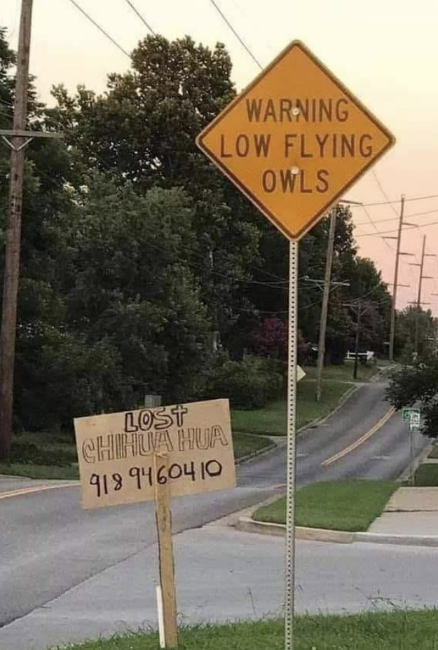 One sign says, Warning: Low fly