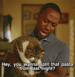 a gif of Winston from the TV show New Girl saying &quot;Hey, you wanna split that pasta from last night?&quot; to his cat