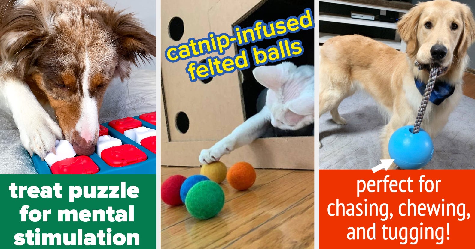 12 products to entertain your pets while you work