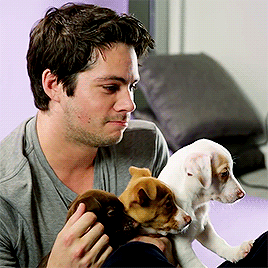 Dylan holding puppies