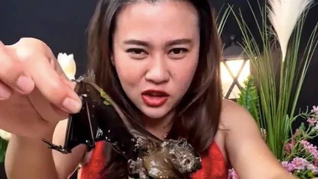 Phonchanok Srisunaklua, who uploaded the video to her YouTube channel, was arrested for "possession of protected wildlife carcasses." She has since apologized.