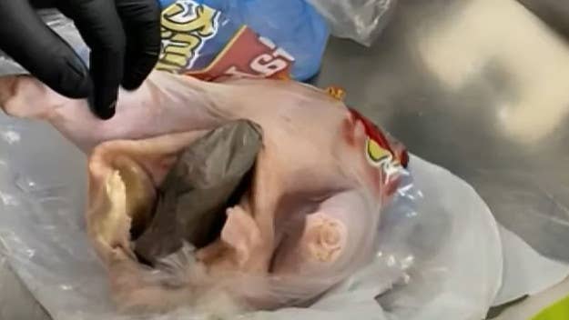 TSA agents at Fort Lauderdale-Hollywood International Airport recovered an unloaded handgun that was stashed directly inside of a raw chicken.