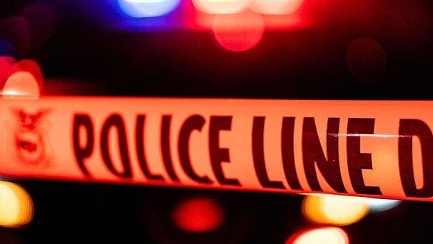 A California woman has been charged with killing a man by ramming her vehicle into his car after she allegedly witnessed him try to run over a cat.
