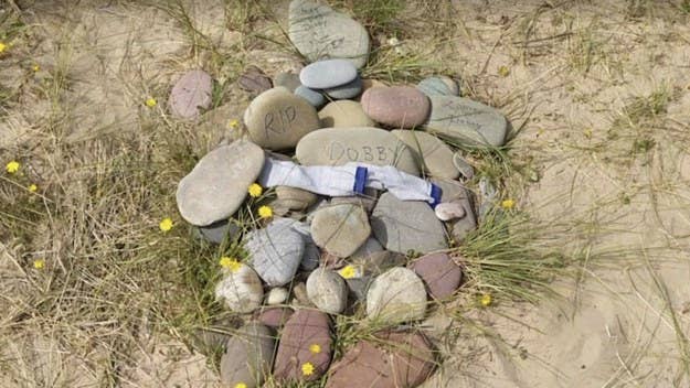 Environmental officials in Wales have asked 'Harry Potter' fans to stop leaving mementos at the fictional Dobby's grave at the beach in Pembrokeshire. 