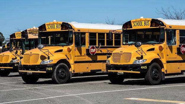 A school bus driver in Georgia has been fired and arrested after a viral video showed him shoving a 6-year-old and 10-year-old Black student.