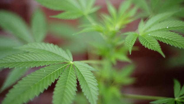 The U.N. Commission on Narcotic Drugs has narrowly voted to move cannabis off as a Schedule IV, which is reserved for the most dangerous substances.