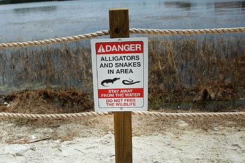 Newly installed signs warn of alligators and snakes