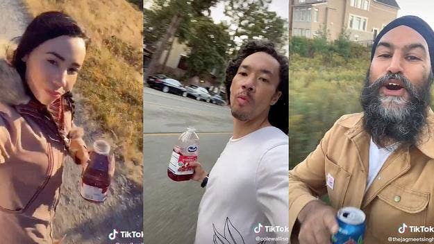 From NDP leader Jagmeet Singh to Indigenous influencer Notorious Cree, here are the most epic Canadian spins on Doggface208's viral skateboarding video.