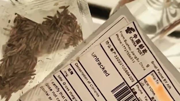 While U.S. officials are stating they believe the packages are coming from China, the country's foreign ministry has said the shipping labels are forged.