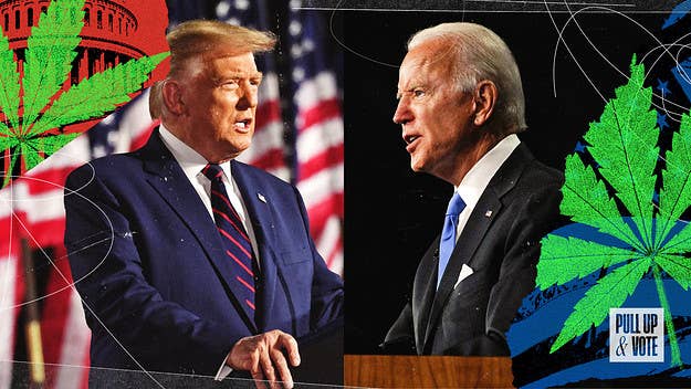 After four years of federal inaction on legal weed, will 2020 be the year that the either President Trump or Biden embraces pot?