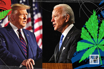 trump biden cannabis legalization election 2020