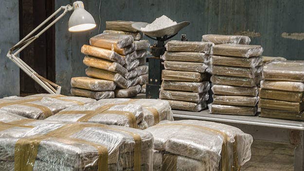 U.S. Border Patrol agents seized a cocaine haul they valued at more than $1 million after it was found washed up on a Florida beach last week.