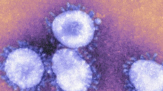 New Jersey has seen a recent surge in coronavirus cases, and elected leaders and public health officials are pointing the finger at young people.