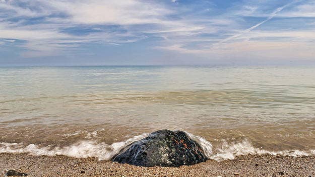 While out for a stroll on a local beach, a Wisconsin man found what appears to be a brain (probably an animal's) wrapped in tin foil on the shore.