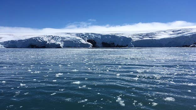 As the climate warms, algae are spreading across Antarctica, causing the snow to look green. The algae have some benefits, but it can also be detrimental.