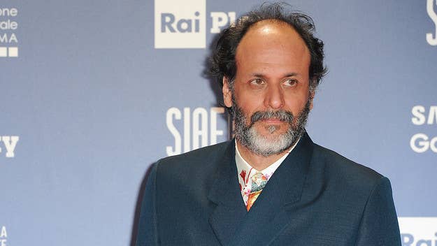 Luca Guadagnino most notably directed 'Call Me By Your Name,' which earned four nominations at the 2018 Academy Awards, including one for Best Picture.