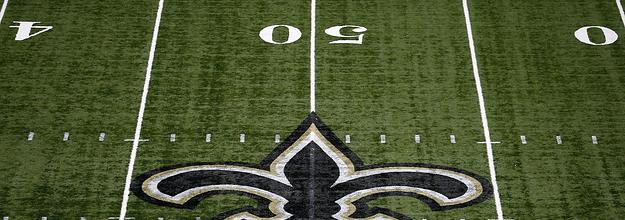 Adult Website Announces Bid For Naming Rights To New Orleans Saints'  Superdome - Daily Snark