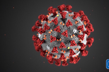 This illustration, created by CDC, reveals ultrastructural morphology exhibited by coronavirus.