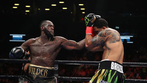 Deontay Wilder might be the hardest puncher in boxing history. But who else in today's game packs elite power? We ranked the boxers here.