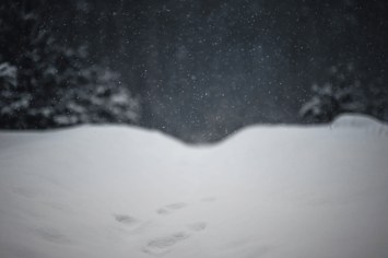 Snowy Bigfoot tracks in Ukraine.