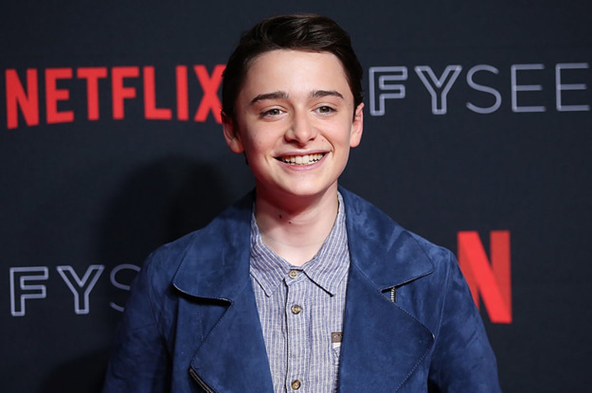 How Will Byers Helped Stranger Things' Noah Schnapp Accept His Sexuality -  IMDb
