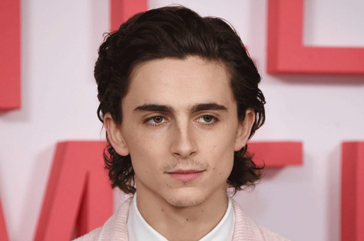 Timothee Chalamet looks ready to rock while walking with a guitar