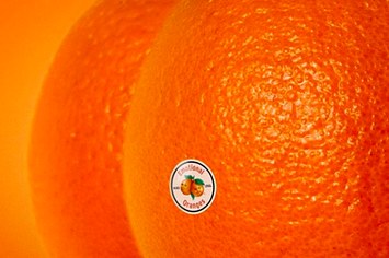 Emotional Oranges 'The Juice Vol. 2'
