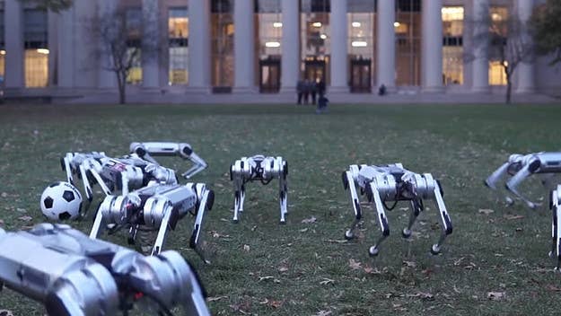 Boston Dynamics routinely scare the world by showing how capable its robots are, but now it's the Massachusetts Institute of Technology's turn.