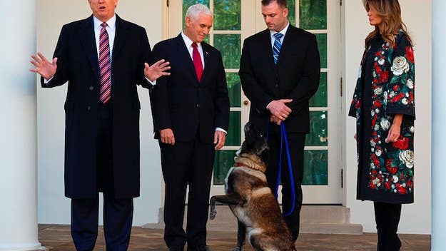 A spokesperson for the U.S. Special Ops says the award was created specifically for Conan, a military dog who was injured during an ISIS raid last month.