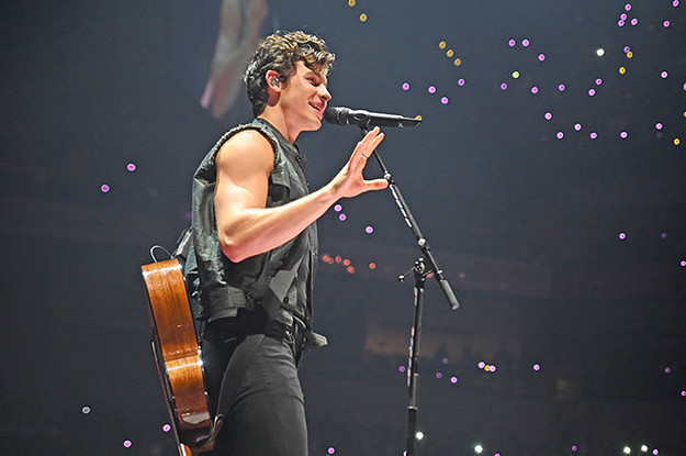 Shawn Mendes Apologizes When Fan Asks About ResurfacedTweets Shawn Mendes Apologizes When Fan Asks About ResurfacedTweets