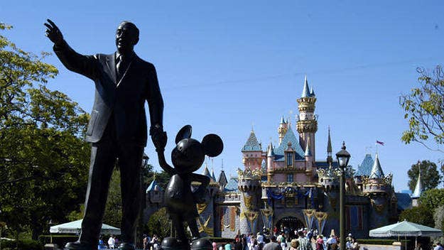 "Any type of violence is inexcusable and will not be tolerated," a spokeswoman for Disneyland Resort said.