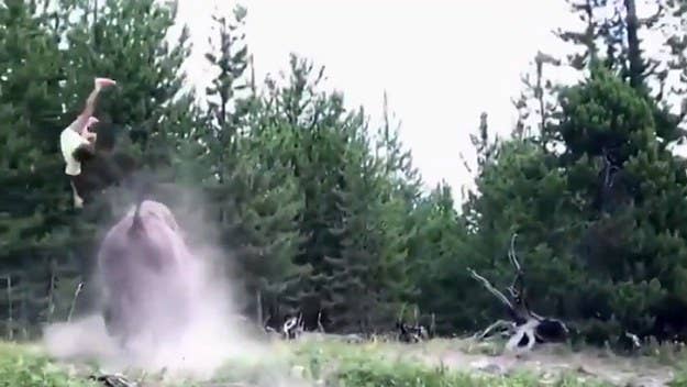 A Florida girl was thrown by a charging bison in a terrifying video from Yellowstone.