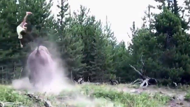 A Florida girl was thrown by a charging bison in a terrifying video from Yellowstone.