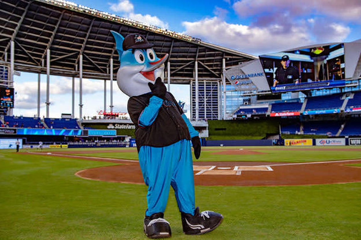 rays mascot steve irwin