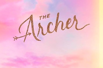 taylor swift the archer