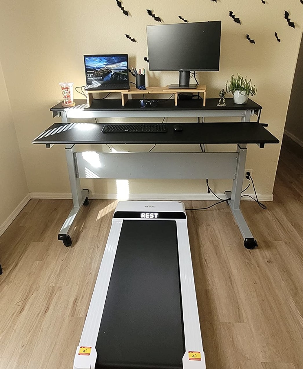 the treadmill