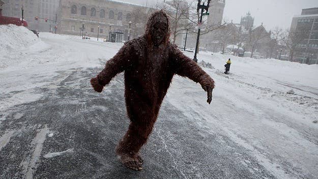 The agency tested potential Sasquatch fur in the 1970s.