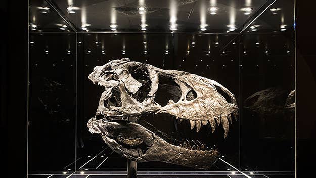 Alan Detrich is attempting to sell his young Tyrannosaurus rex skeleton on eBay for an astonishing sum, and paleontologists aren't happy.